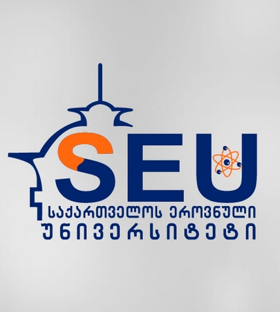 Грузинский национальный университет SEU
